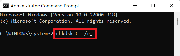 execute check disk command