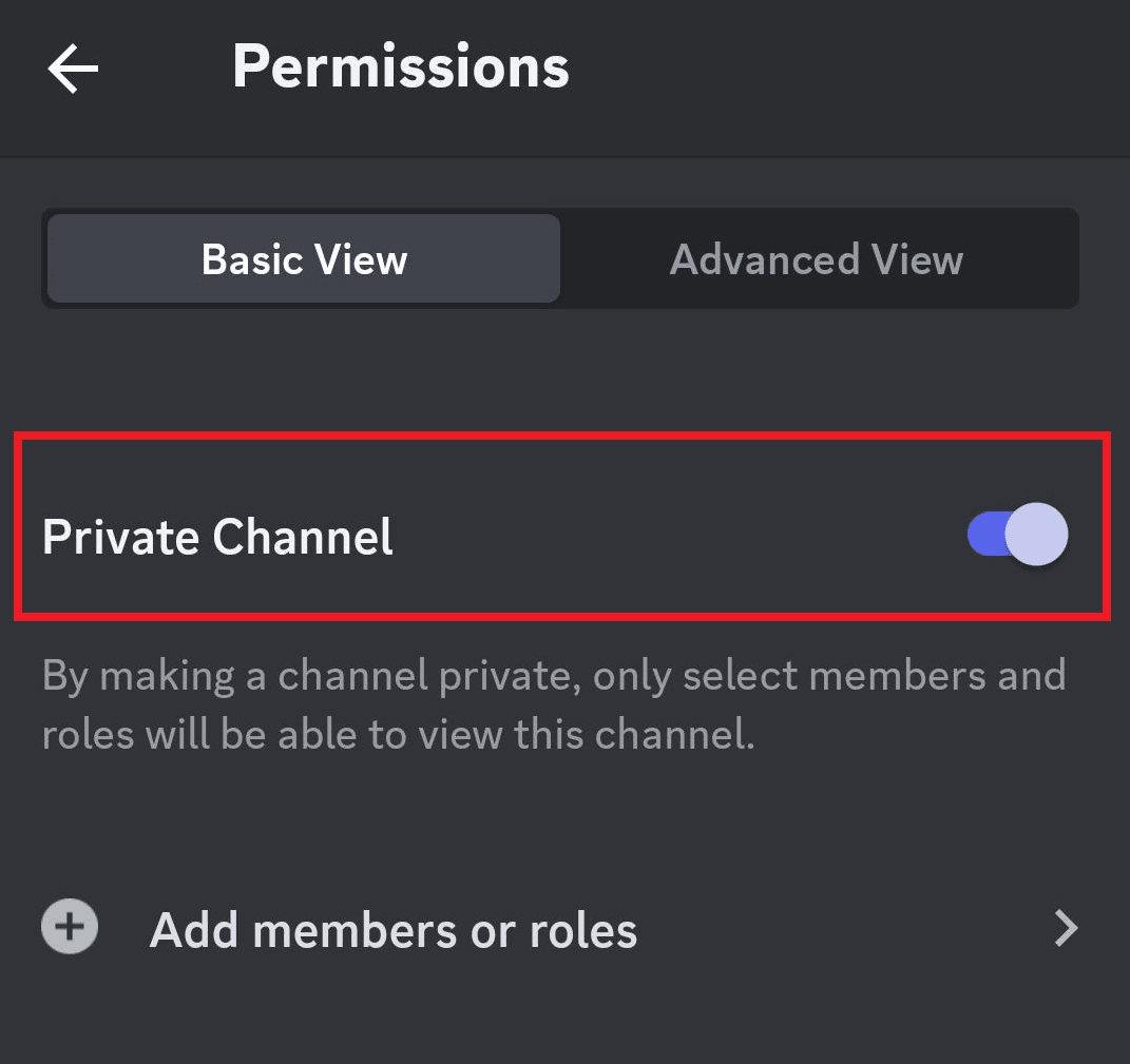 6. Toggle on Private Channel.