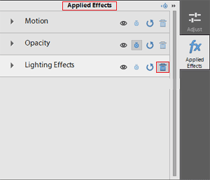 Finally, in the Applied Effects panel select the effect and then click on the Trash Bin.