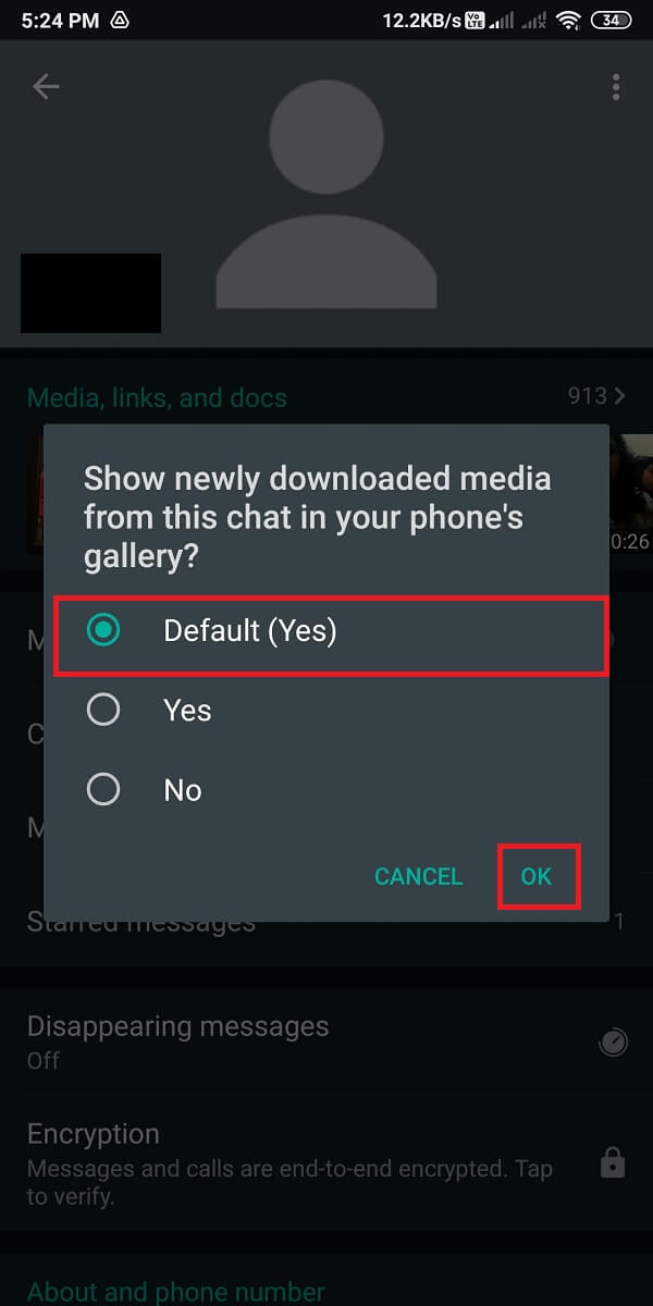 Finally, select '(Default) yes.' | Fix Whatsapp Images Not Showing In Gallery