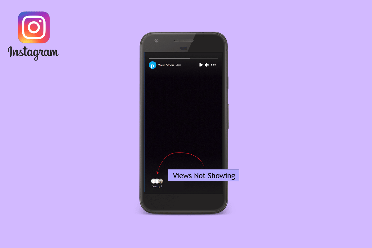 How to Fix Instagram Story Views Not Showing