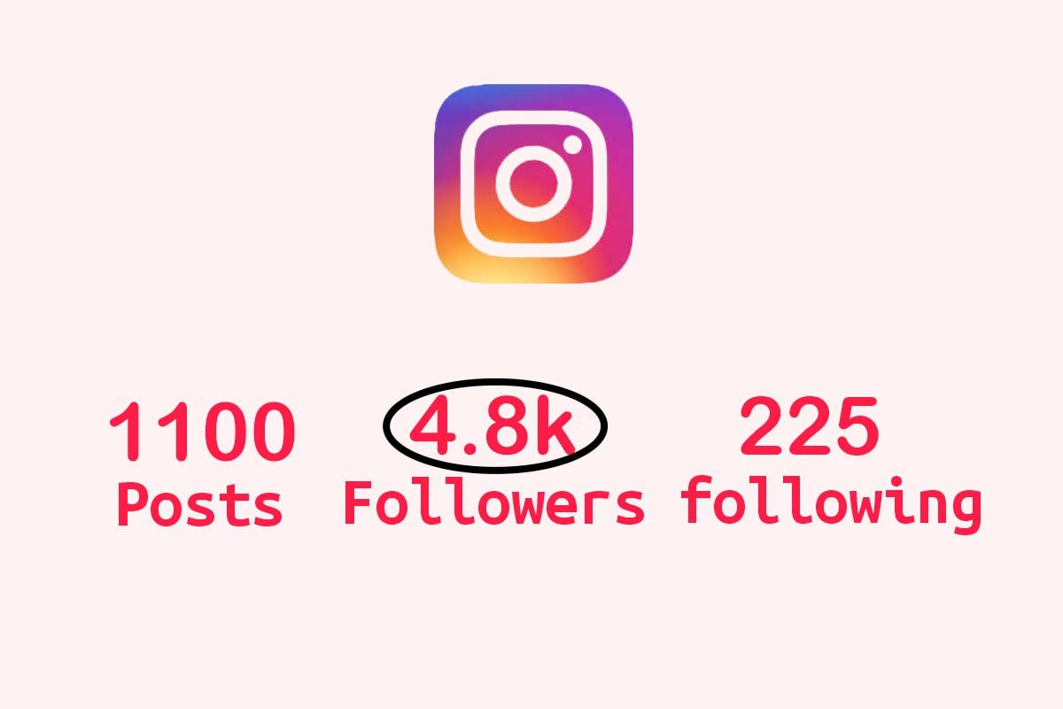 Instagram Follower Count Glitch