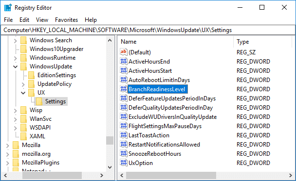 Navigate to BranchReadinessLevel DWORD in Registry