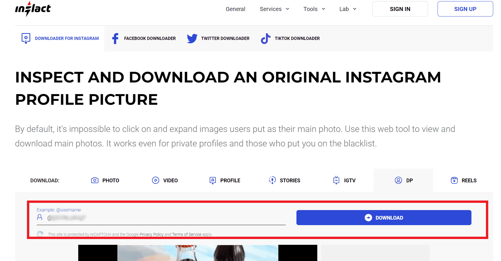 Paste the username in the space provided on the website and click on DOWNLOAD | download Instagram profile picture online