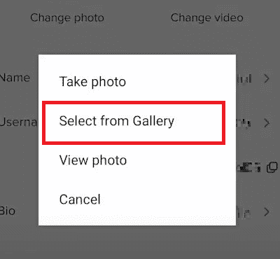 Tap on the Select from Gallery option and select the desired downloaded image | TikTok pfp maker