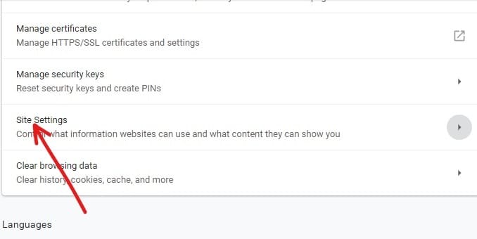 Under Privacy and security, click on Site settings