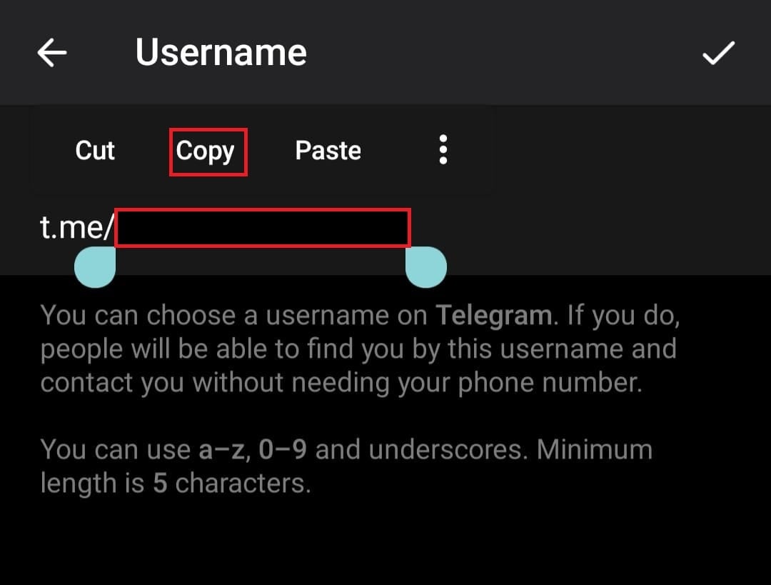 copy your username from Telegram | How To Get My Telegram Profile Link