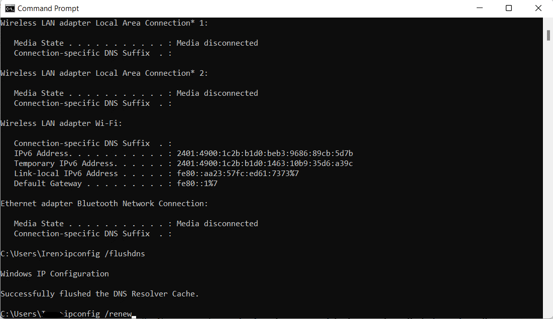 Enter netsh winsock reset, netsh int ip reset, ipconfig /release, ipconfig /flushdns, ipconfig /renew 