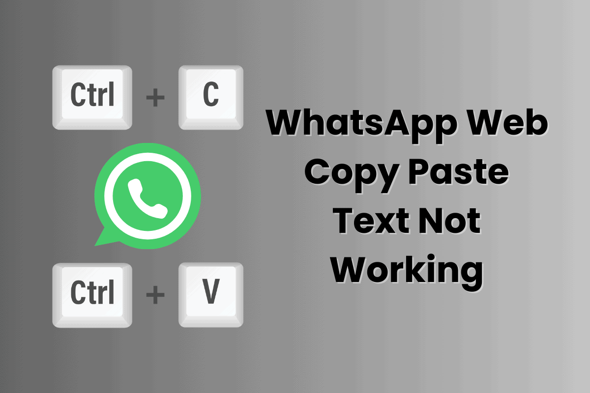 Fix WhatsApp Web Copy Paste Text Not Working