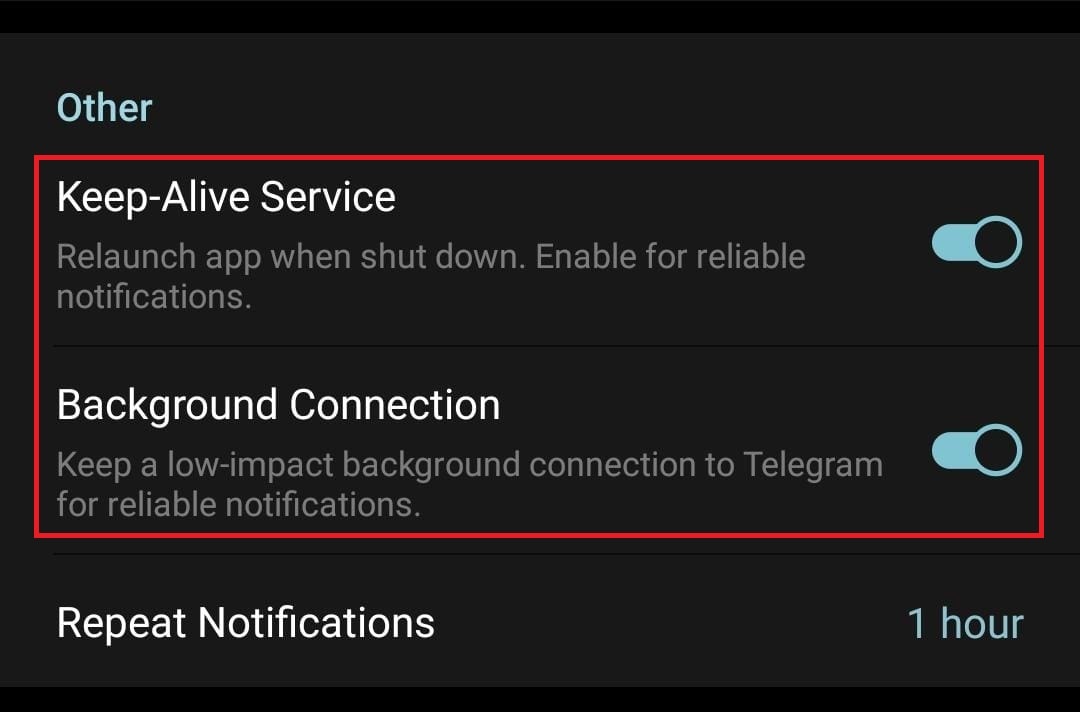 in the Other section, toggle on Keep-Alive Service and Background Connection.