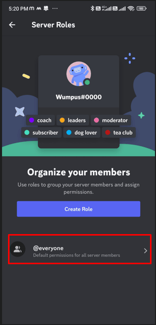 Select the @everyone role | How To Lock Roles on Discord