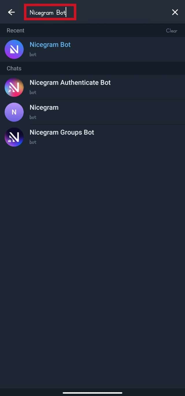 Type in Nicegram Bot in the text field